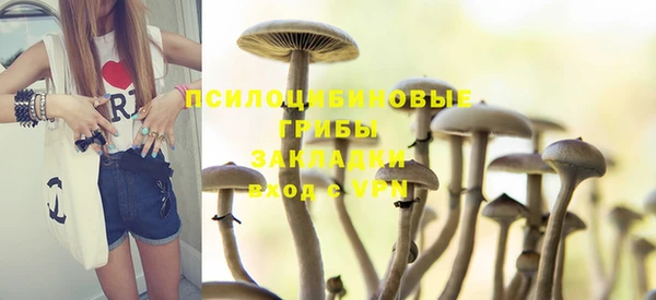 гидра Нея