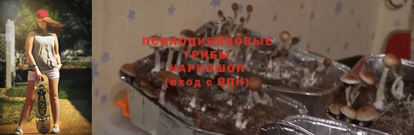 дурь Нефтегорск