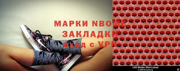 гидра Нея