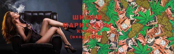 гидра Нея