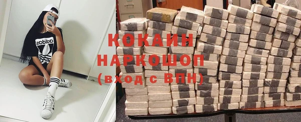 гидра Нея