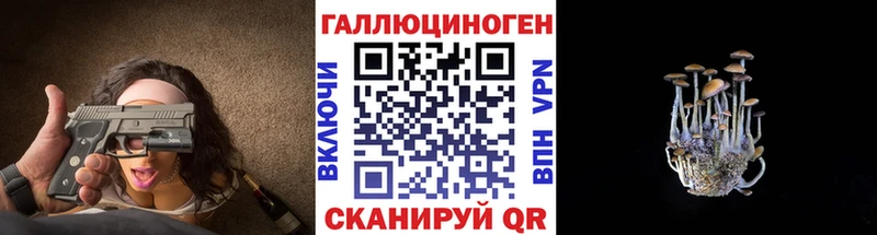 blacksprut онион Межгорье Псилоцибиновые грибы Psilocybine cubensis наркотики